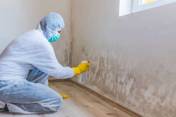 Mold Remediation specialist working in Riverside